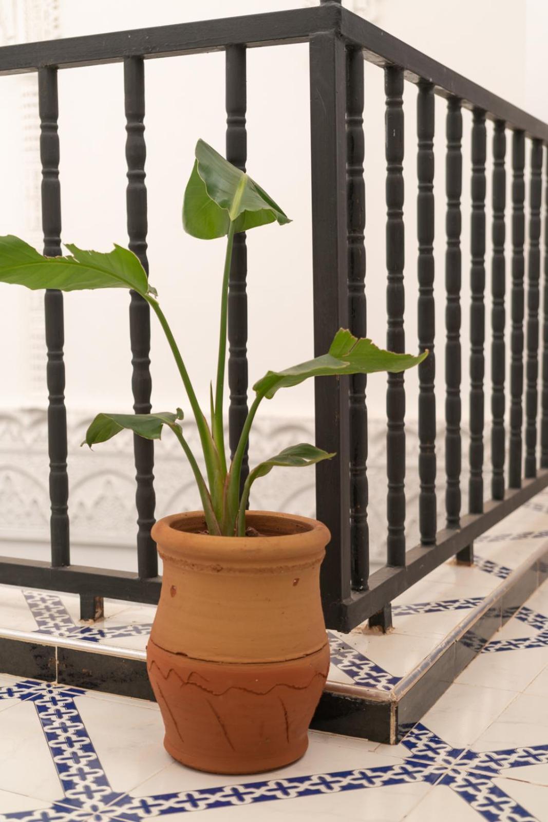 فندق مراكشفي  The Garden House - Medina المظهر الخارجي الصورة