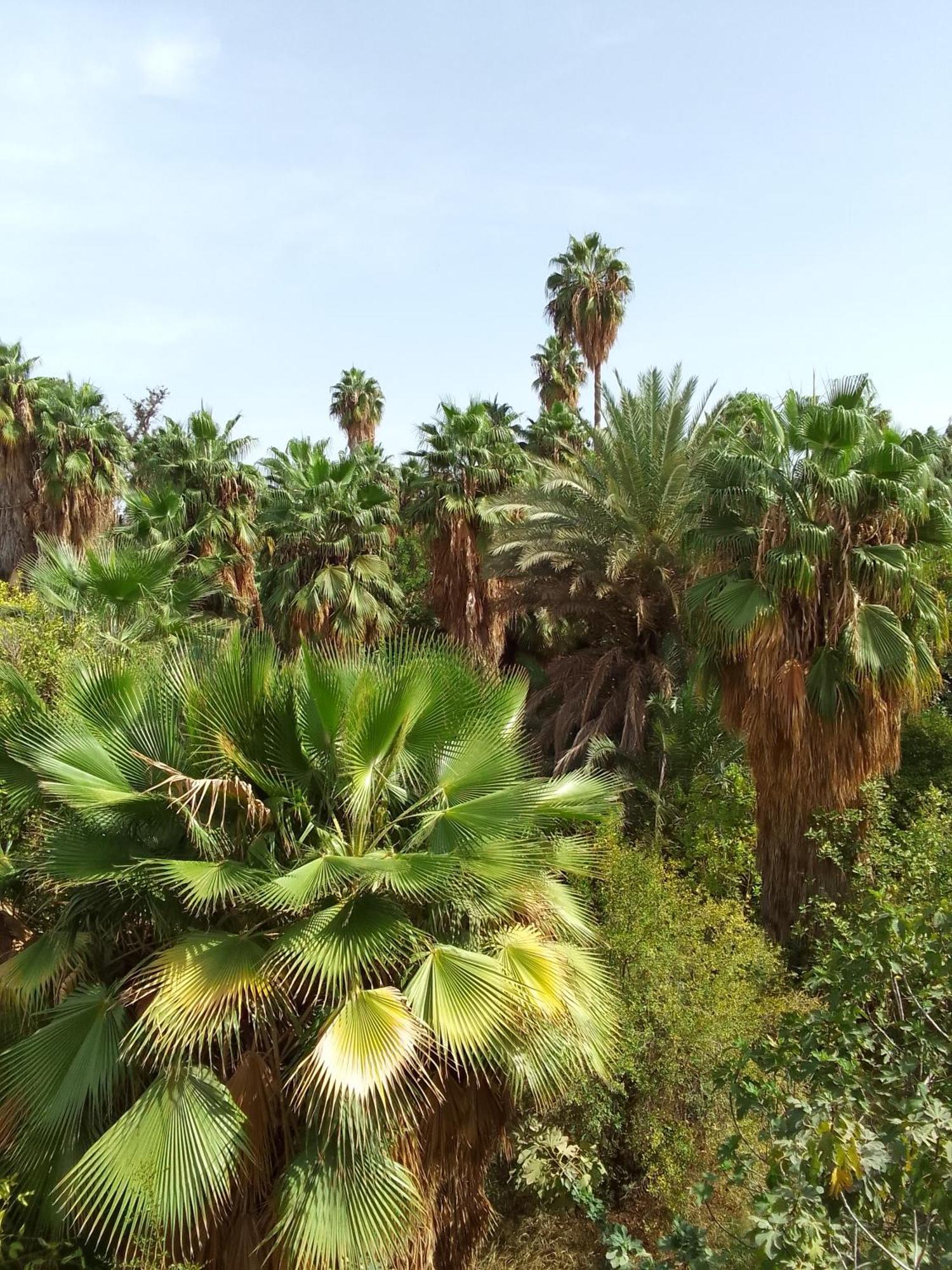 فندق مراكشفي  The Garden House - Medina المظهر الخارجي الصورة